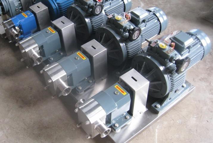 Rotor pump